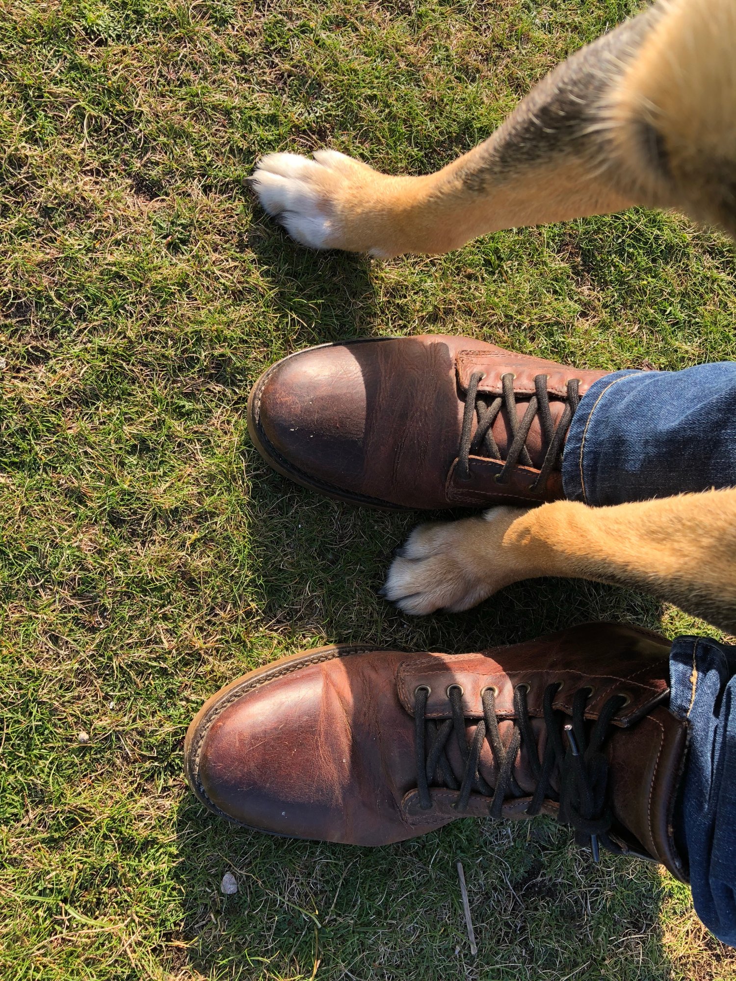 Design sans titre (2)