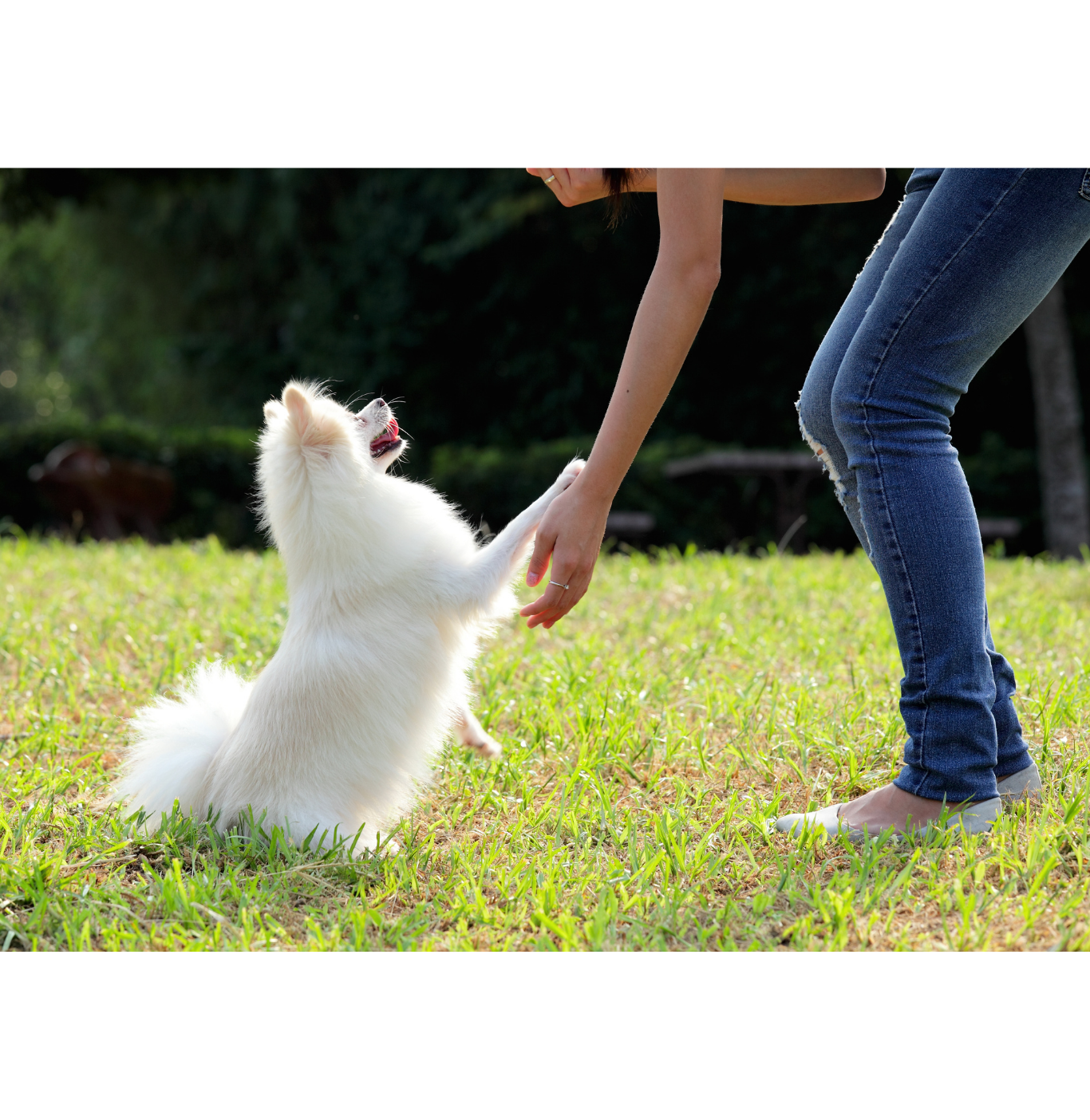 Quest ce quon vous réserve  (6)