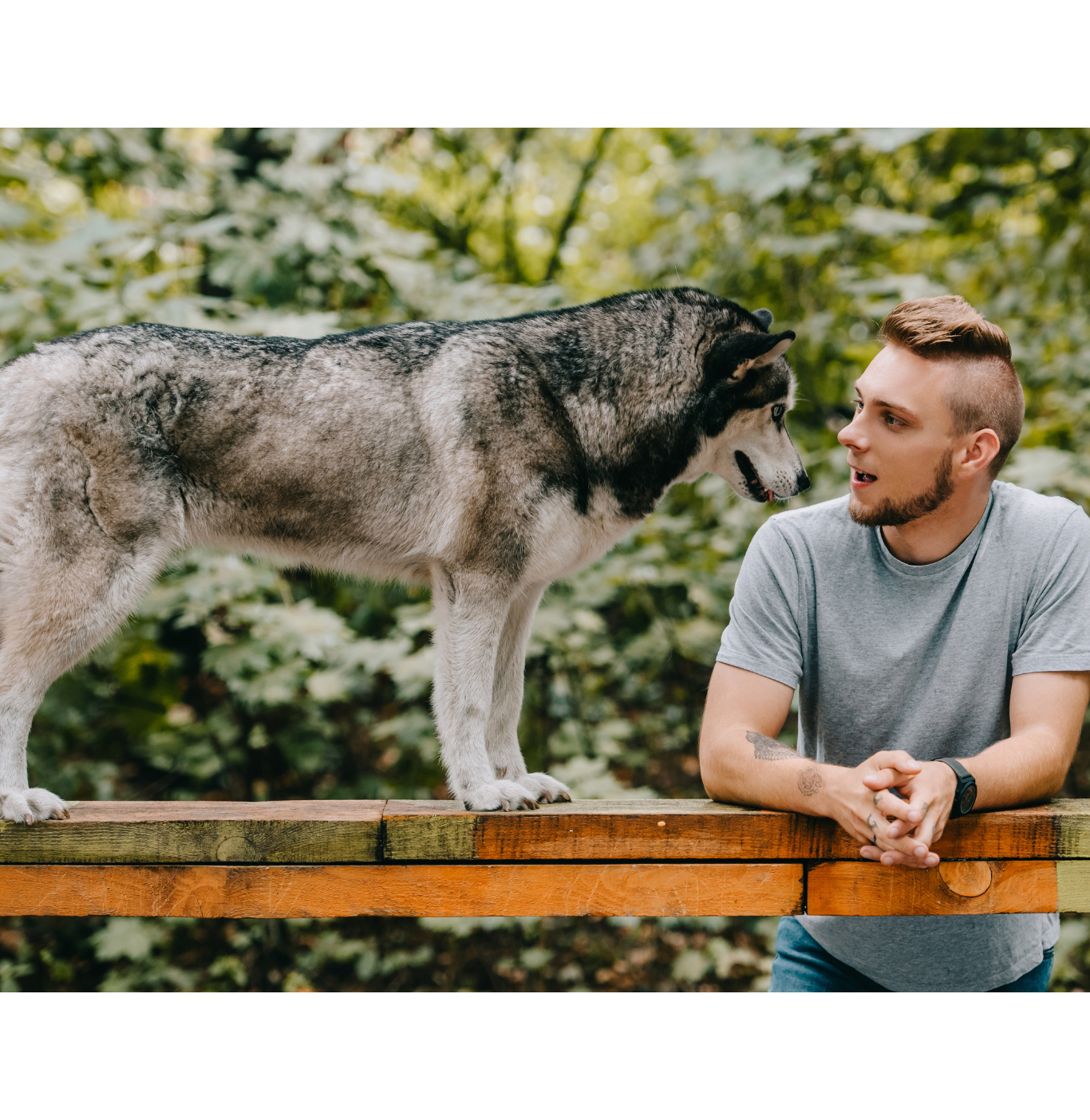 Quest ce quon vous réserve  (7)